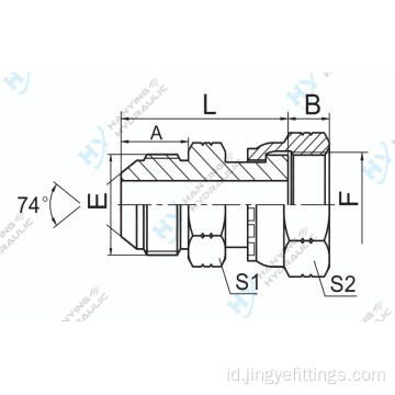 Jic jantan 74 kerucut/orfs betina